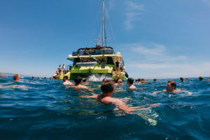 Daytime Boat Party
