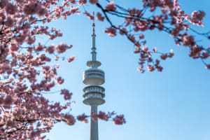 Olympic Tower