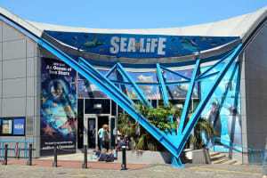 National SEA LIFE Centre Birmingham