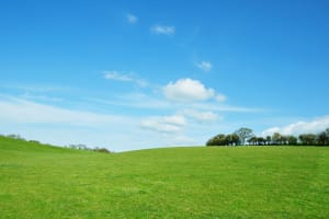 Green field parkland