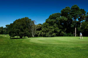 Meyrick Park Hotel - Golf