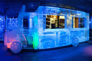 Icebar London - Interior frozen food