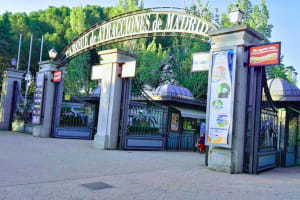 Theme Park Entry