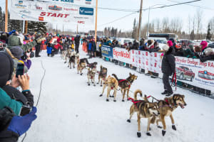 Iditarod: The Last Great Race