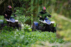 a group driving quad bikes through the woods