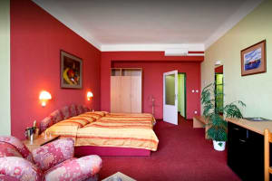 Hotel Slovan Brno- bedroom