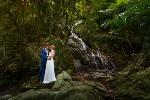Extreme Wedding Destinations - Daintree Rainforest