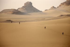 7 days, 250km: the Sahara Race