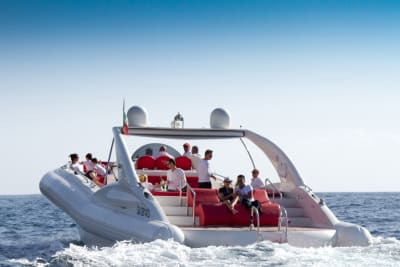 Opera Catamaran speedboat