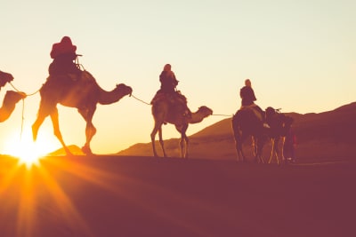 morning camel trekking dubai