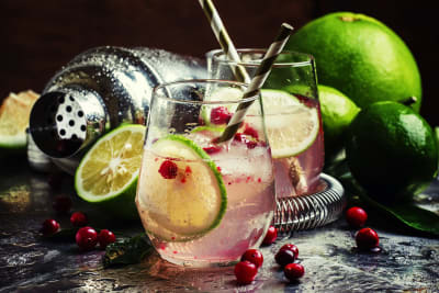Cocktail class with Gin and tonic in glasses with limes and cranberries