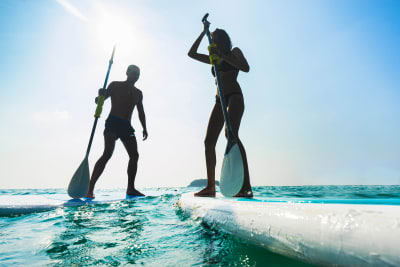 two people doing stand up paddle boarding