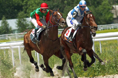 a horse race