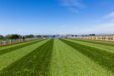 Horse racing track